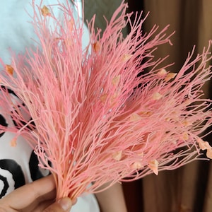 Beautiful  Feather Grass，preserved Dream Grass，dried flower arrange supplies，dry grass for handcraft，home grass decor，wedding grass decor
