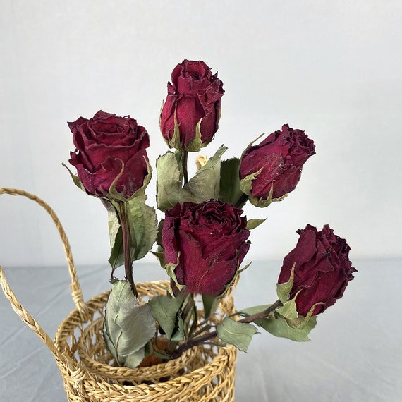 10 Stems Dried Roses Flower With Stemsnatural Roses Flowers ,flowers  Arrangement ,vase Filler ,home Decoration ,wedding Roses Decor 