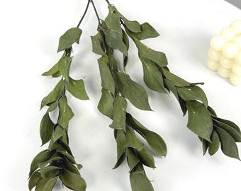 5/10 dry orange leaves bunch， natural citrus branches，dry flower for vase，natural plant，DIY craft supply，flower arragement，home  decor
