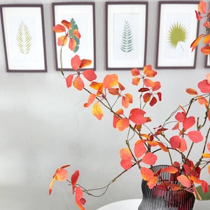 May include: A decorative arrangement featuring vibrant orange and red leaves in a textured gray vase. Framed botanical prints hang on the wall in the background, creating a harmonious display of nature-inspired decor.