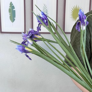 Puede incluir: Un ramo de flores de iris moradas con tallos y hojas verdes. Las flores tienen detalles amarillos y se sostienen frente a una pared con estampados bot&aacute;nicos enmarcados.