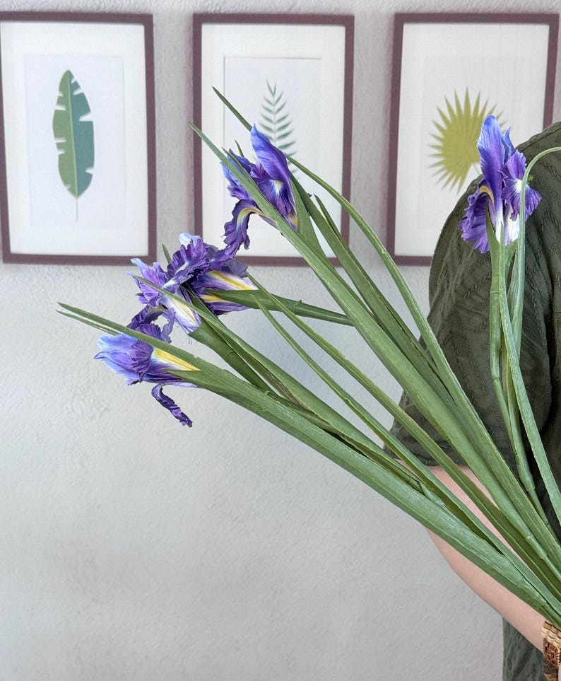 Puede incluir: Un ramo de flores de iris moradas con tallos y hojas verdes. Las flores tienen detalles amarillos y se sostienen frente a una pared con estampados bot&aacute;nicos enmarcados.