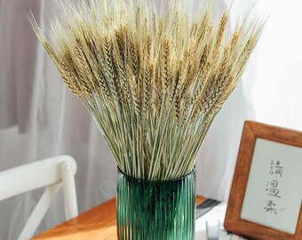 50 sticks natural wheat grass，dried wheat grass bundle，dry flowers arrangement，wheat grass for vase，wedding grass decor