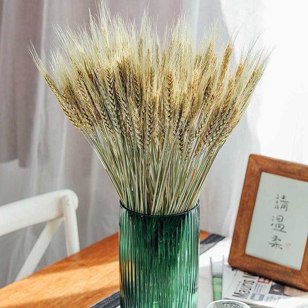 50 sticks natural wheat grass，dried wheat grass bundle，dry flowers arrangement，wheat grass for vase，wedding grass decor