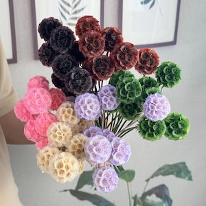 6 Farben Sacbiosa Schoten Bälle, getrocknete natürliche Blumenkugel, getrocknete Blumengesteck, Dekoration für Haus, Unkraut Blumendekoration, Vasenfüllung