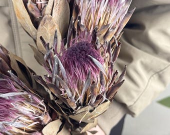 プロテア スサラ 4 Protea Stem, Purple, Artificial Flowers