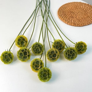 May include: A bunch of dried green flower heads with long stems. The flower heads are round and have a textured surface.