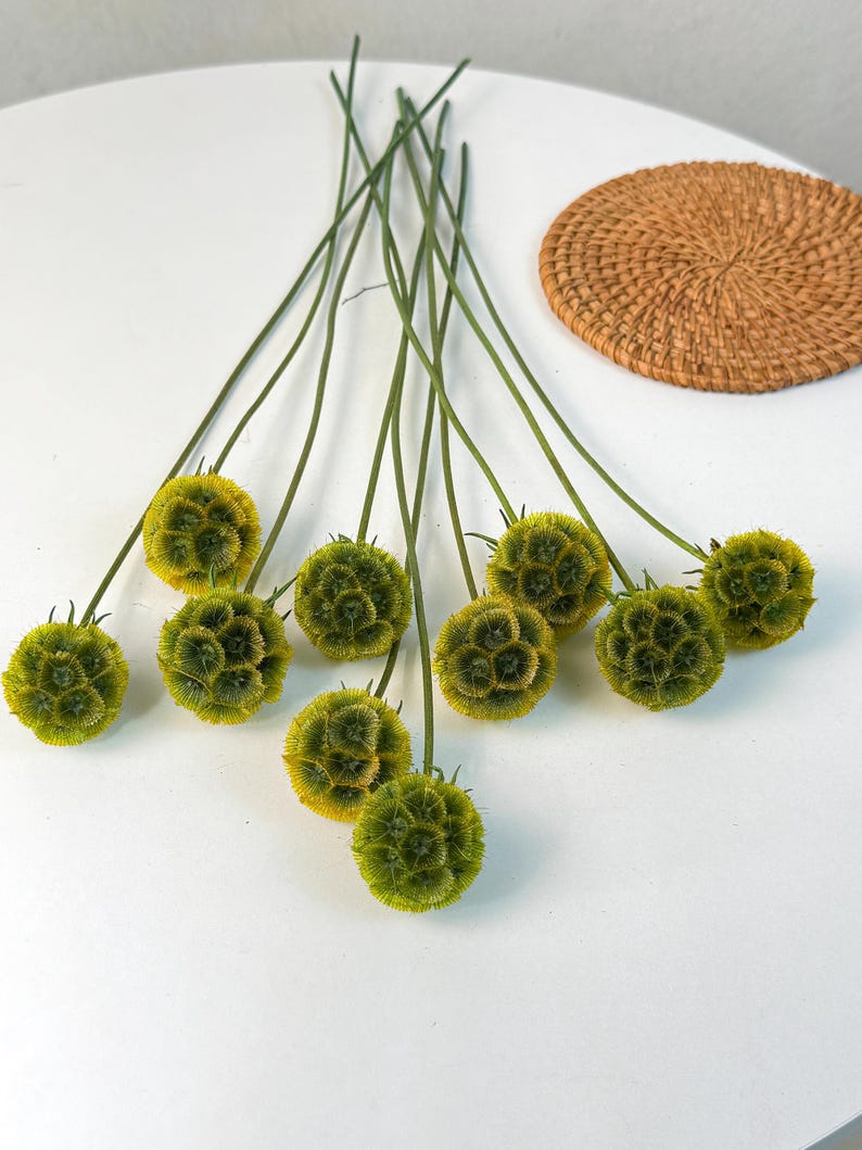 May include: A bunch of dried green flower heads with long stems. The flower heads are round and have a textured surface.