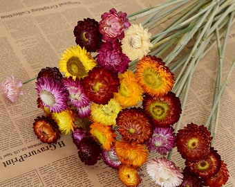 mixed strawflowers branches，dried strawflowers branches，handmade strawflowers，dry flowers for vase，home decor，wedding flowers decor