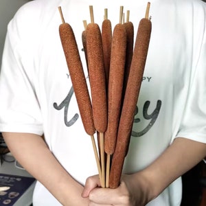 Natural typha Cattails Stems，10 sticks，dried flowers arrangement,vase filler，home decor，wedding decor，boho wall decor，Floral decoration