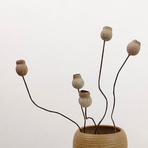 May include: Five dried flower pods in a brown ceramic vase. The pods are beige and brown and are attached to thin brown stems.