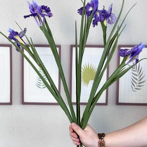 Puede incluir: Un ramo de flores de iris moradas con tallos y hojas verdes. Las flores tienen un centro amarillo y se sostienen en una mano. En el fondo hay estampados bot&aacute;nicos enmarcados.