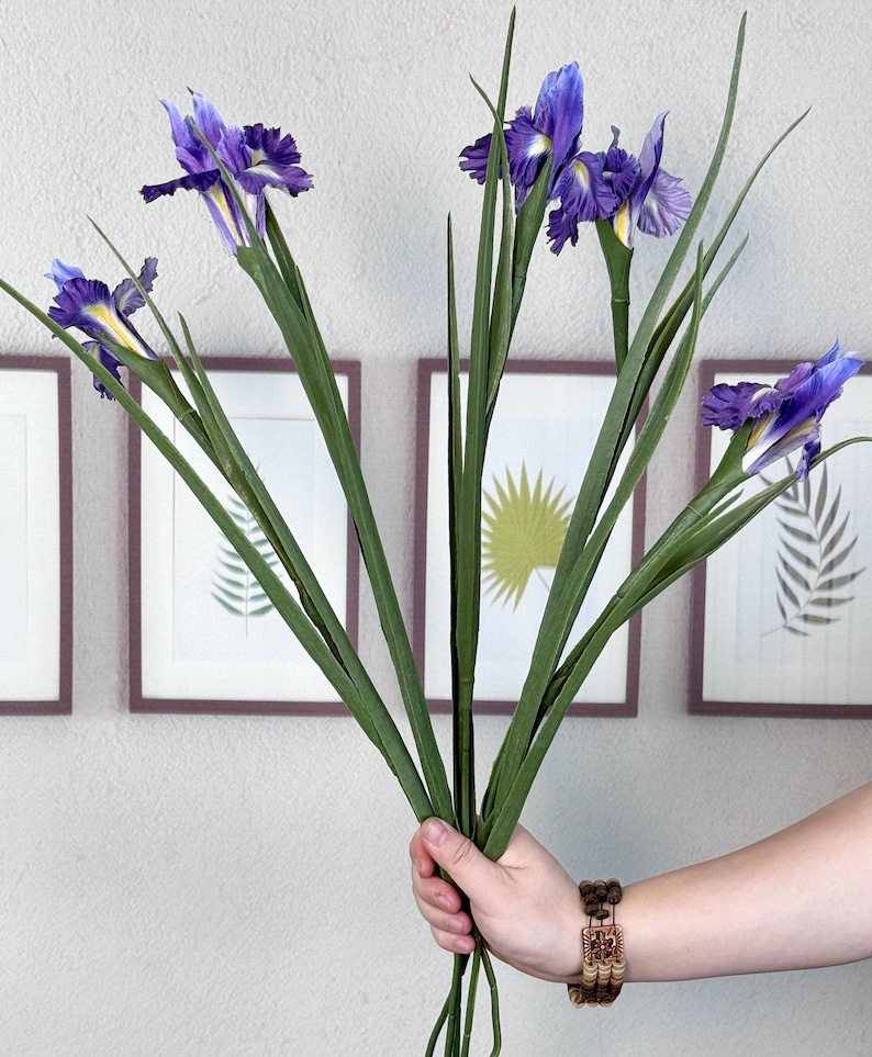 Puede incluir: Un ramo de flores de iris moradas con tallos y hojas verdes. Las flores tienen un centro amarillo y se sostienen en una mano. En el fondo hay estampados bot&aacute;nicos enmarcados.