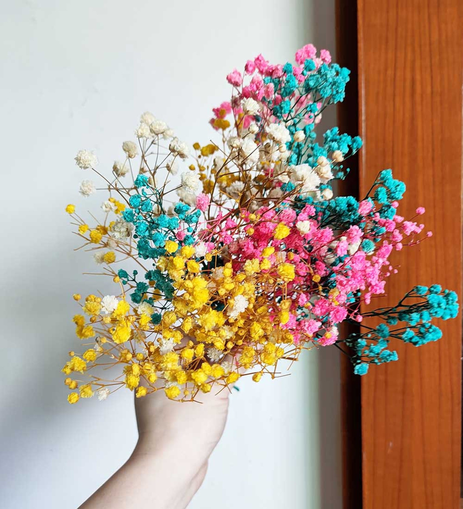 Mixed Color Baby Breath With Vasepreserved Baby S Breath Etsy