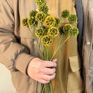 May include: A bouquet of dried yellow and green flowers with long stems. The flowers are round and have a textured surface.