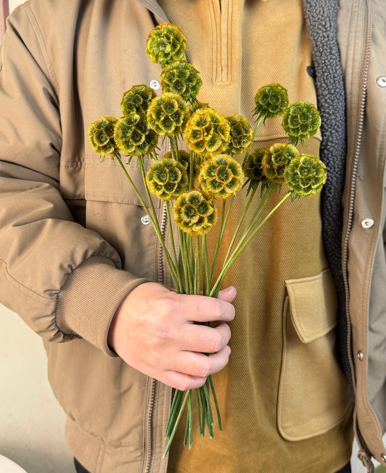 May include: A bouquet of dried yellow and green flowers with long stems. The flowers are round and have a textured surface.
