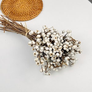 Manojo de bayas de sebo secas, 20-25 palitos, manojo de bayas de sebo naturales, pequeñas frutas blancas secas, suministros de artesanía de bricolaje, decoración del hogar, decoración de bodas