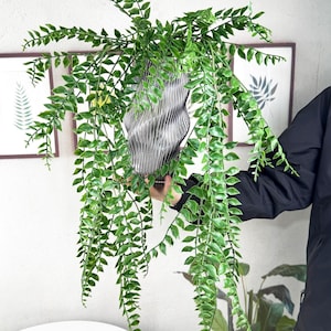 45&quot; finta vite verde sospesa, erba artificiale sospesa 3D, decorazione da parete con pianta sospesa, riempitivo per vasi, arco nuziale/sfondo/decorazione per la casa,