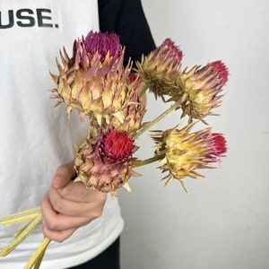 dry protea ball flower，natural African protea stems   dry protea in vase filling，flowers arrangement，DIY craft supply，Retro  home decor