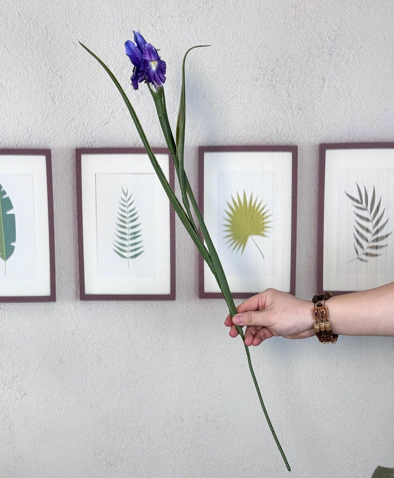 Puede incluir: Una sola flor de iris p&uacute;rpura vibrante con largas hojas verdes. La flor se sostiene en una mano, con estampados bot&aacute;nicos enmarcados en el fondo. El iris contrasta con la pared neutra.