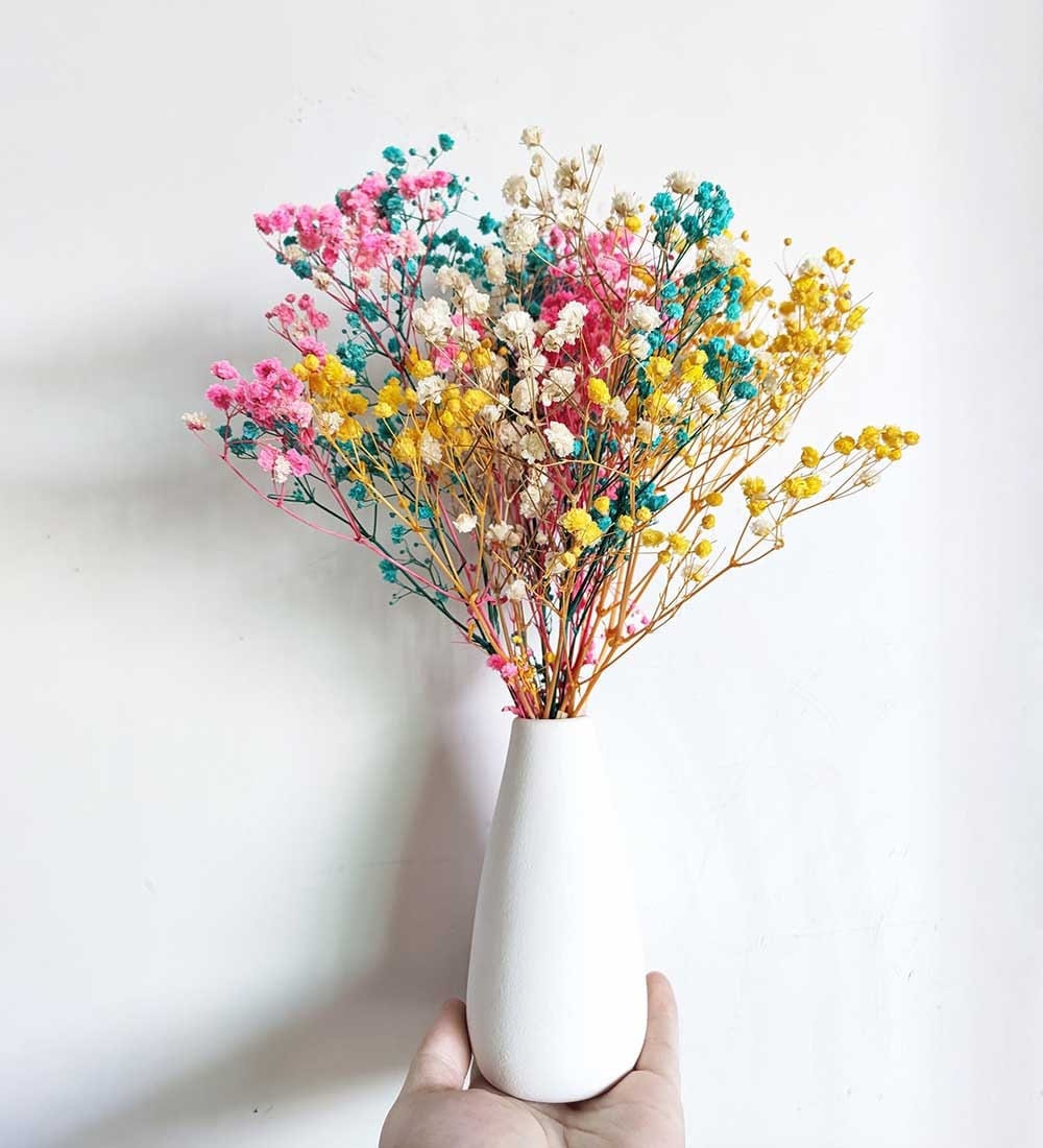 Mixed Color Baby Breath With Vasepreserved Baby S Breath Etsy