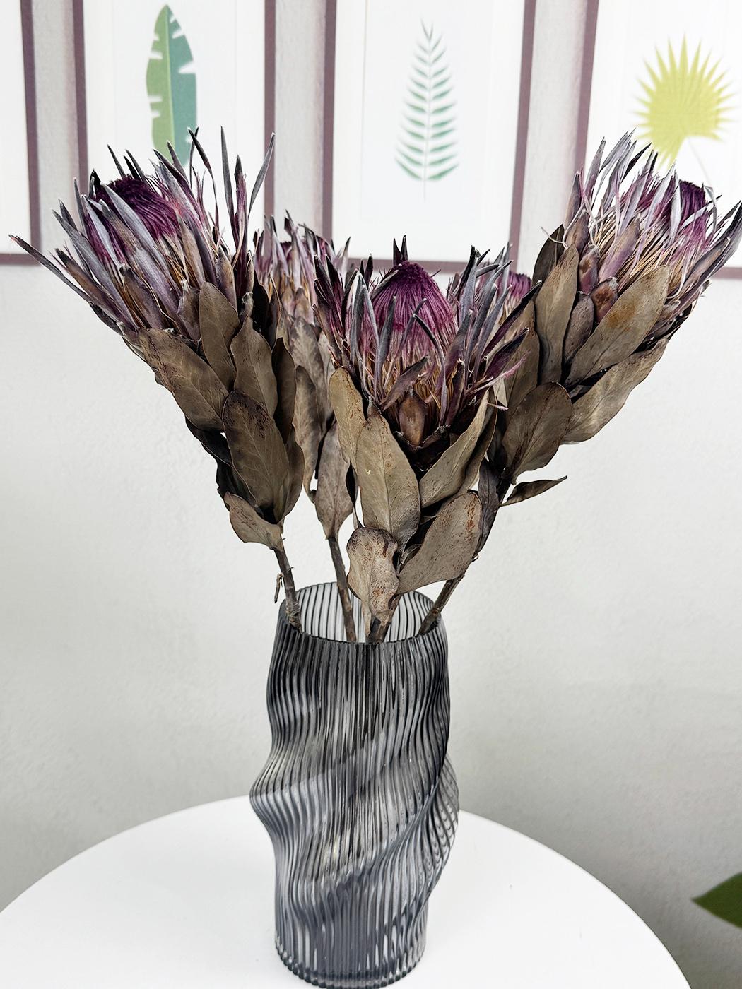 Natural Protea King Stems,dried Purple Protea Flower,dried