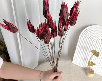 10 sticks small red okra branches，artificial flower，dry flower arrangement，vase filler，boho decor，home decor