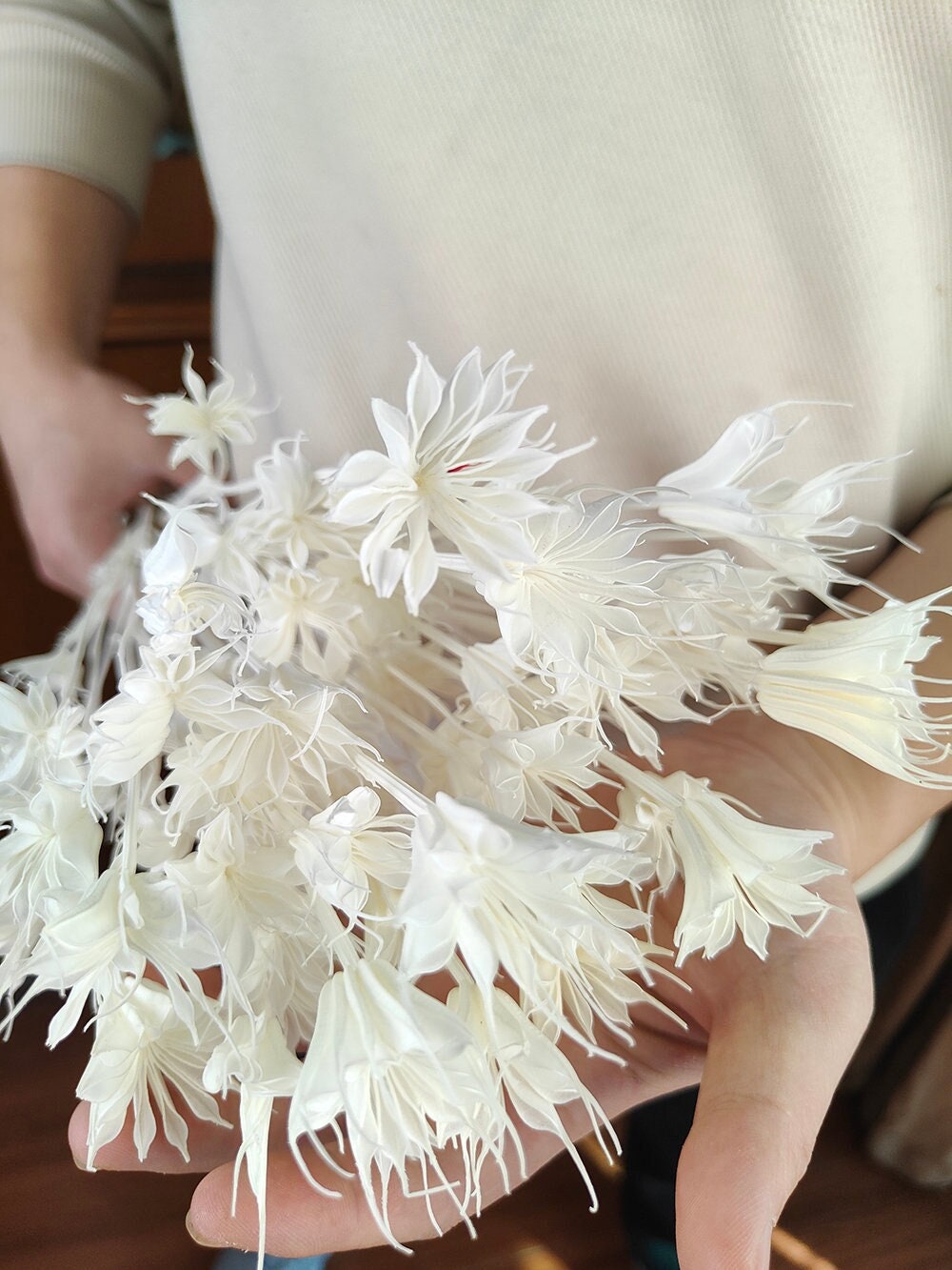 White Nigella Star ,dried Flower,natural Octagon Flower,vase