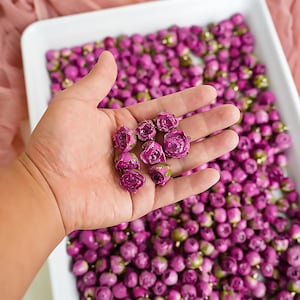 Cabeza de rosa de resina real de 5 colores, capullo de rosa de resina natural, suministro de artesanía floral DIY para joyería/pendientes/collares/pulseras, cabeza de flor seca hecha a mano