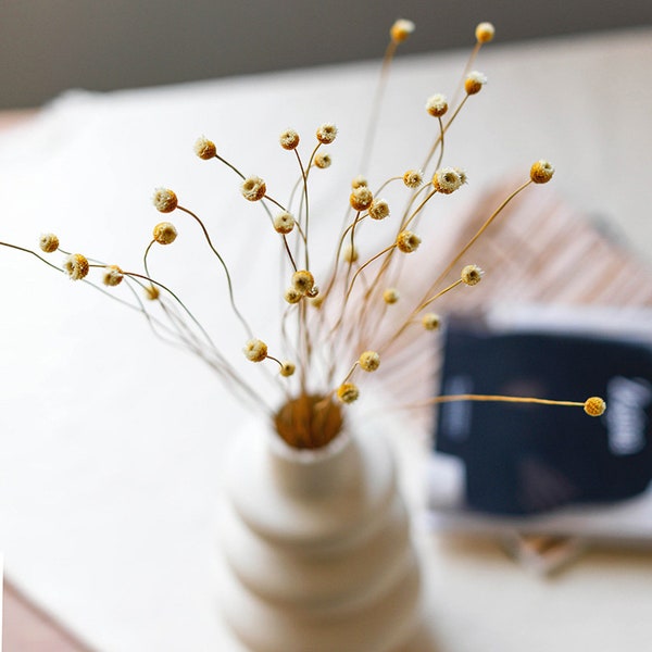 100/200 small brazil flower sticks，natural flower，dried flower arrangement，flower for vase，home decoration，boho wedding decor