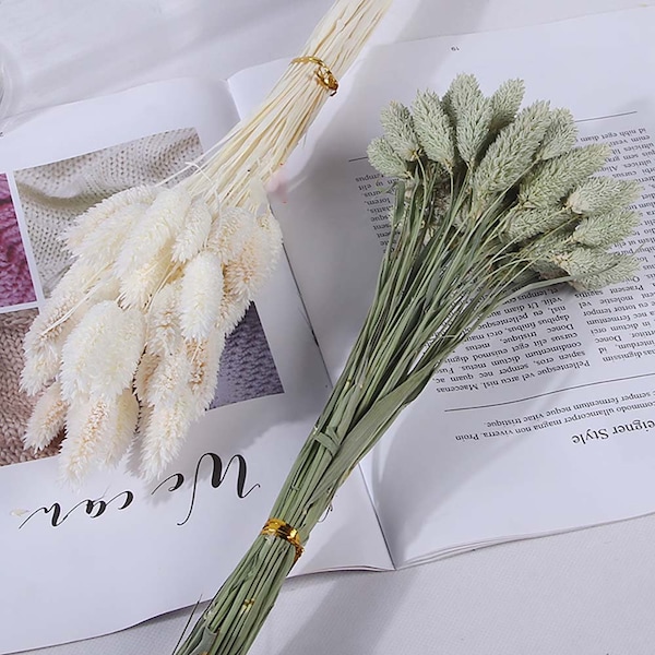 50 sticks dried phalaris grass bundle，dried flowers arrangement，grass for wreath ，bouquet，vase，DIY craft supply，home wedding decor