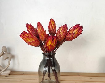 2/5 dried protea repens stems，natural protea flower，dried flower，flower arrangement，flower for vase，boho home decor，wedding flower deocr