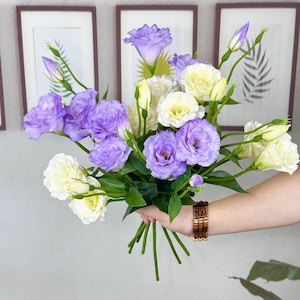 May include: A bouquet of purple and white flowers with green stems and leaves. The flowers are held in a hand, with a wooden bracelet visible. The background features framed botanical prints.