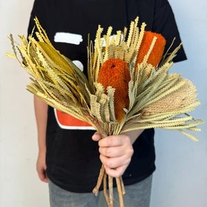 dried banksia stems，natural protea flower，preserved banksia flowers，dried flowers arrangement，vase filling，home decor，wedding flowers