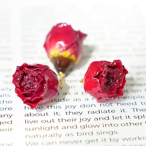 real rose buds，resin natural rose head ，dried rose flower head，DIY craft supply for resin jewelry/earrring/necklace,DIY jewelry supply,