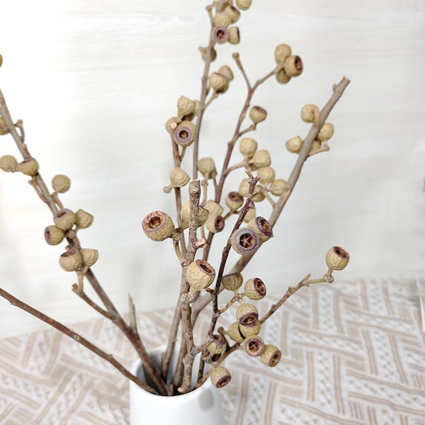 2/5 tiges branches de fruits boho ， branches de plantes naturelles ， branches de fleurs séchées ， fleur sèche pour remplissage de vase ， décor à la maison ， décor de plantes de mariage