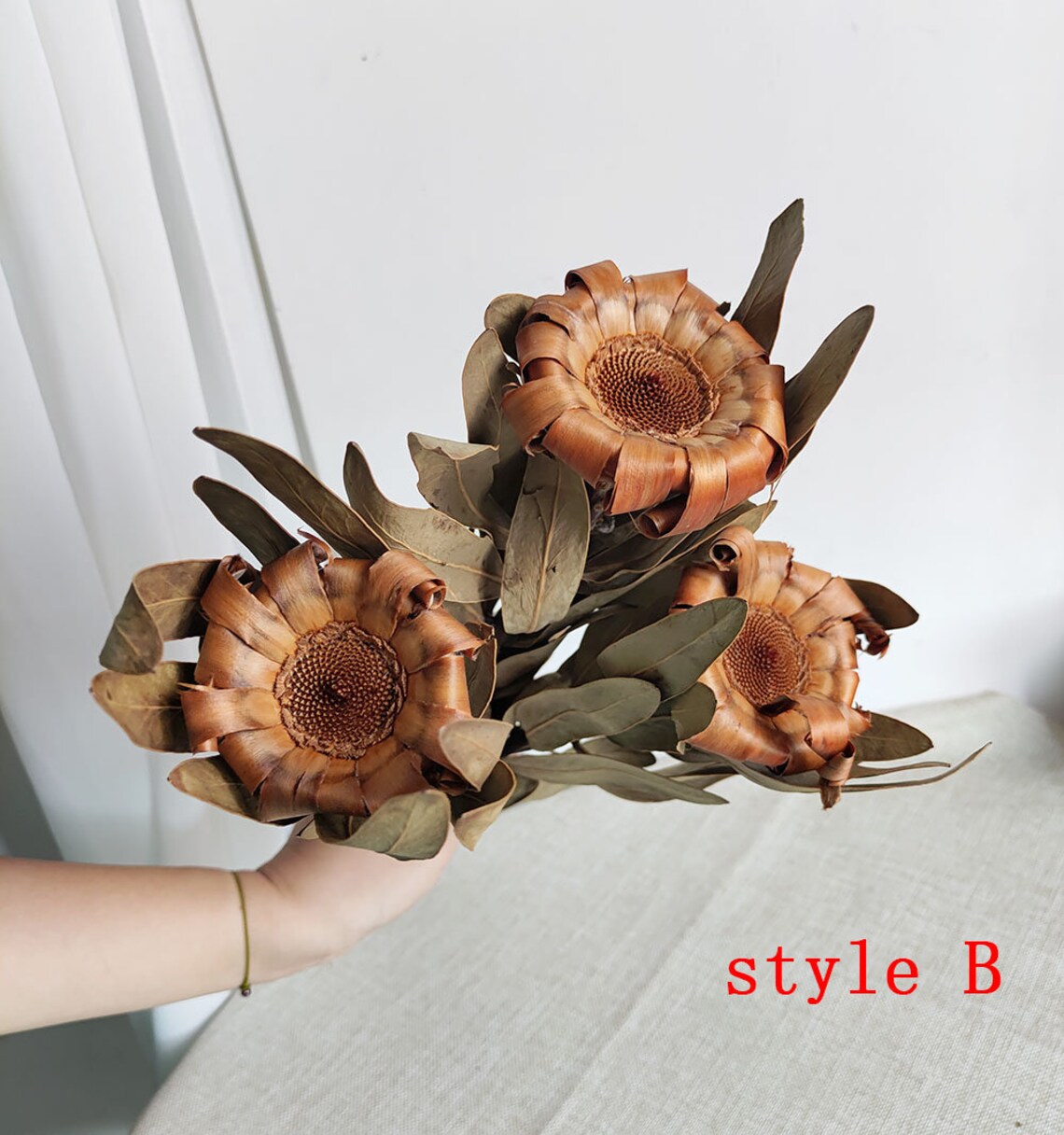 3 Type Natural Protea Flowerdried Protea Stemsdry Flower Etsy