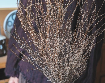 May include: A bouquet of dried, white and brown branches with small, white, round buds. The branches are arranged in a fan shape and are held by a person's hand.