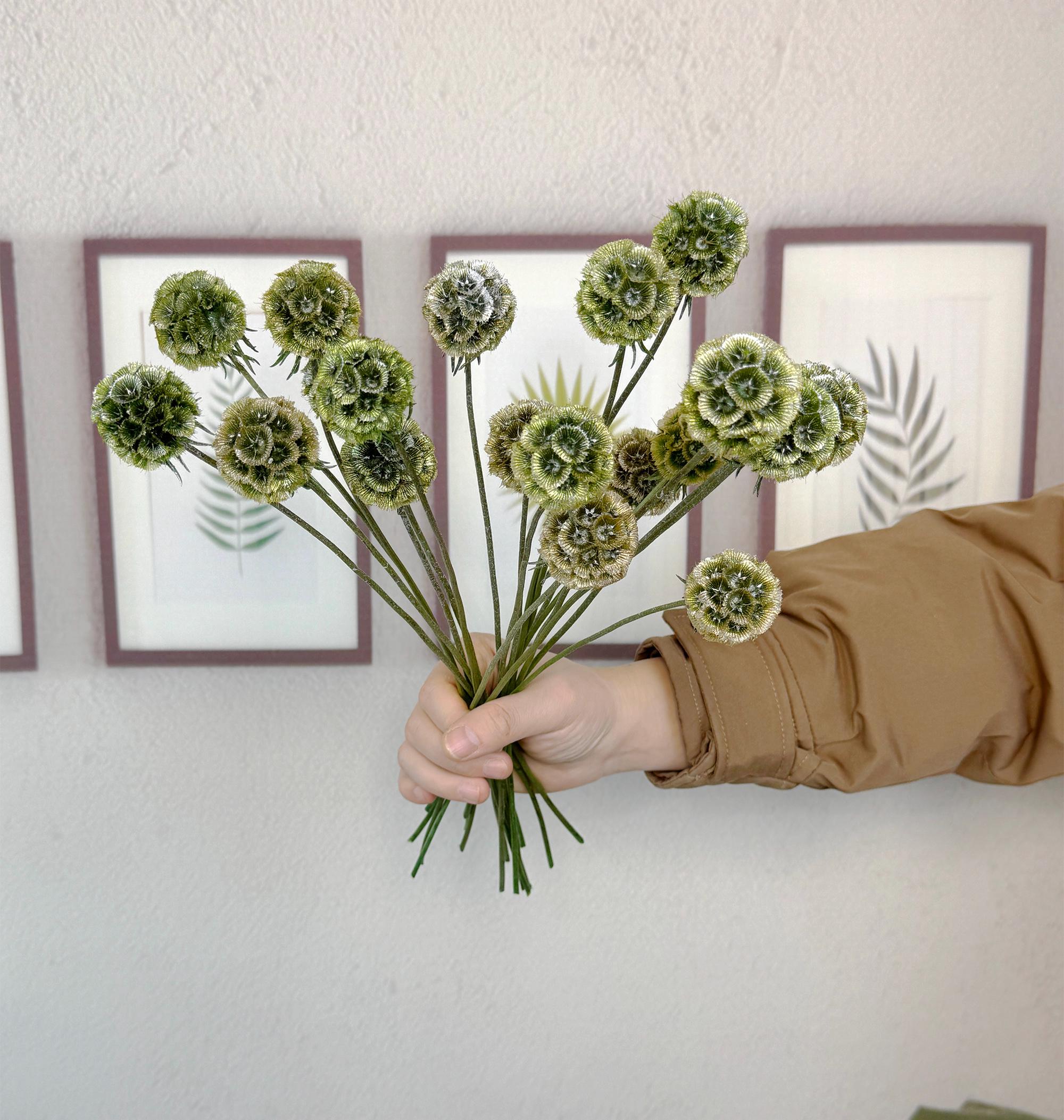 10 dusty green scabiosa flowers，dried natural retro scabiosa pod，flower arrangement，DIY flower supply，vase filler，home decor，wedding decor