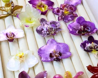 May include: A collection of colorful orchid flower decorations in various shades of purple, yellow, and white. The flowers are arranged in a white tray with individual compartments, showcasing their intricate details and vibrant colors.