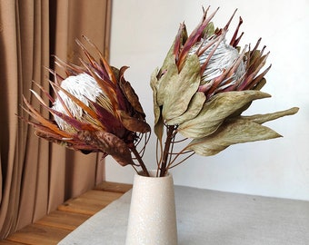 Natural protea king stems  dried protea flower ,  dried  Flower decoration，Wedding decoration, home decoration, dry flower for  vase filler
