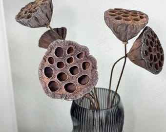 May include: Dried lotus pods in a gray, wavy glass vase. The pods are brown and have a honeycomb-like texture.