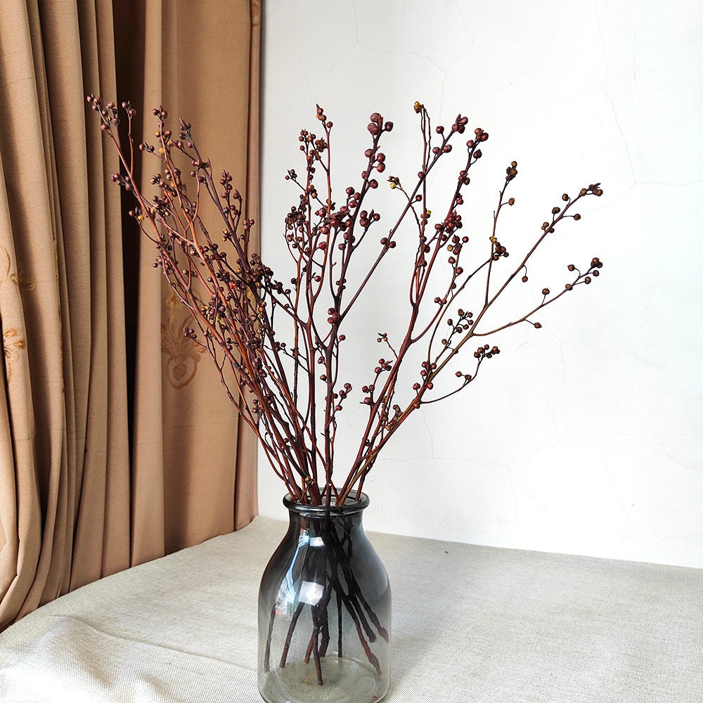 Bunch of Real Pussy Willow Branches, Dried Pussywillow Branches, Set of 30  Dried Pussywillow Branches, Pussywillow Rustic Home Decor 