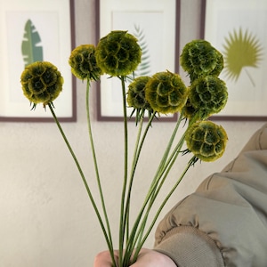 May include: A bouquet of green and yellow dried flowers with a fuzzy texture. The flowers are arranged in a hand.