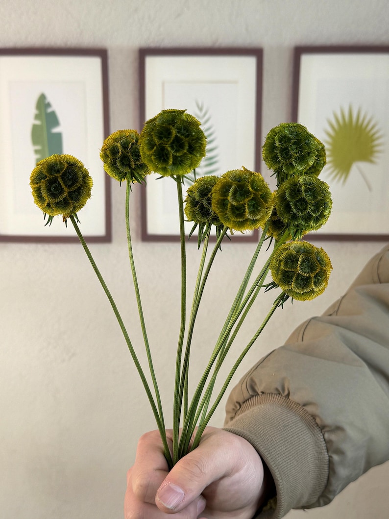 May include: A bouquet of green and yellow dried flowers with a fuzzy texture. The flowers are arranged in a hand.