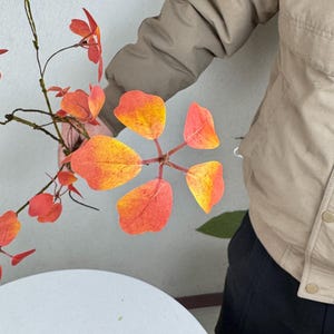 May include: A hand holds a branch of vibrant orange and yellow leaves. The leaves are a mix of red, orange, and yellow, with a gradient effect. The background is a light-colored wall.