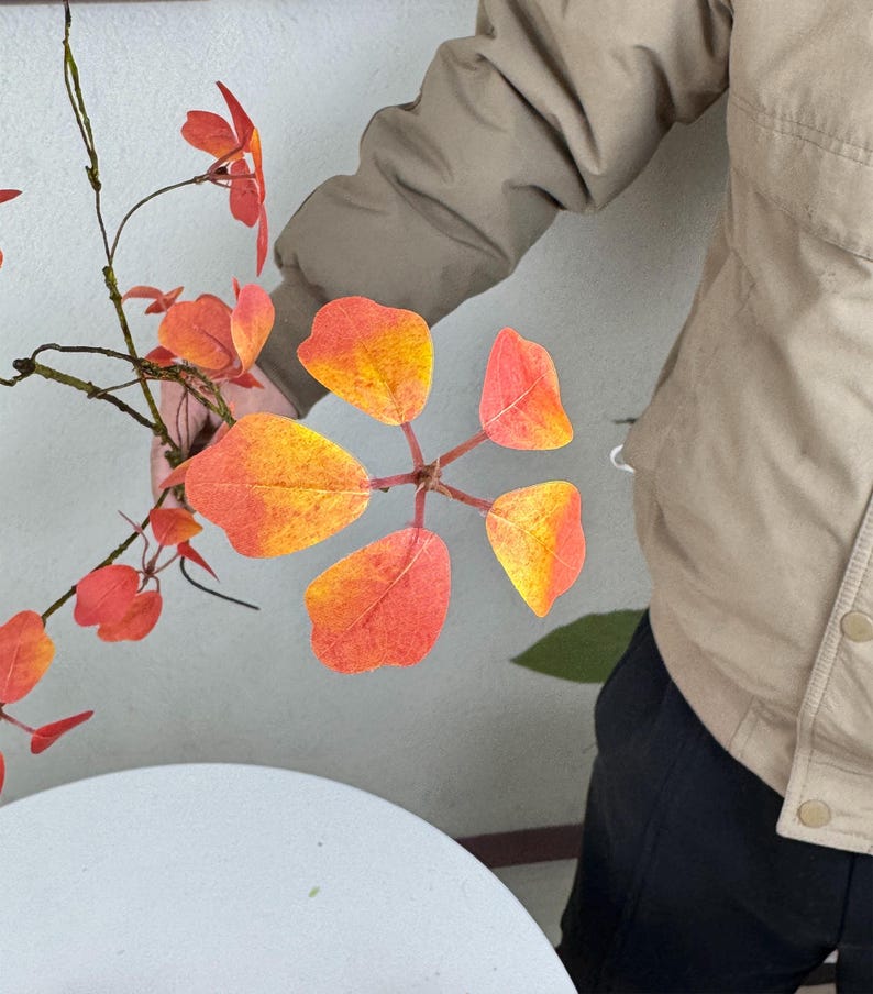 May include: A hand holds a branch of vibrant orange and yellow leaves. The leaves are a mix of red, orange, and yellow, with a gradient effect. The background is a light-colored wall.