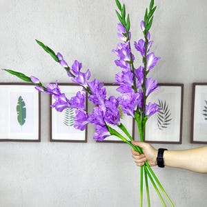 May include: A bouquet of purple gladiolus flowers with green stems and leaves. The flowers are held in a hand with a black watch. The background features framed botanical prints on a gray wall.