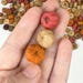 Mini Cosses Putka Séchées – Lot De 50, Mini Citrouilles Déco Naturelle