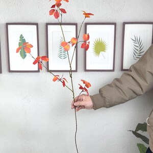 May include: A slender, artificial stem with vibrant orange and red leaves is held against a neutral wall. The leaves are clustered along the stem, creating a natural, autumnal aesthetic. Framed botanical prints hang in the background, complementing the floral element.